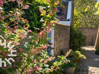 Ferienhaus Veere Umgebung 32