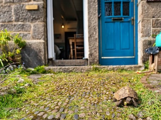 Ferienhaus Marazion Außenaufnahme 3