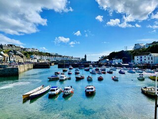 Maison de vacances Helston Environnement 44