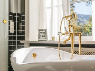 Villa Ilsenburg Caratteristiche 17