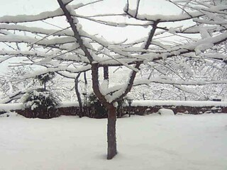 Holiday park Laroya Outdoor Recording 15