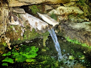 Parc de vacances Laroya Environnement 33