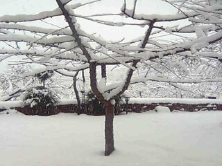 Parc de vacances Laroya Enregistrement extérieur 13