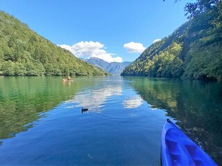 Chalet Lamon Environnement 36