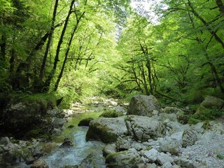 Chalet Lamon Environnement 37