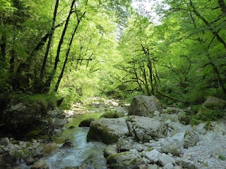 Chalet Lamon Umgebung 37