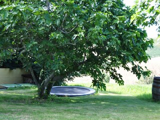 Apartamento Belvedere Ostrense Grabación al aire libre 15