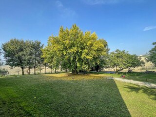 Apartamento Belvedere Ostrense Grabación al aire libre 17