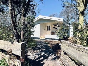 Ferienhaus Authentisches, gemütliches Strandhäuschen an der Nordsee - Callantsoog - image1