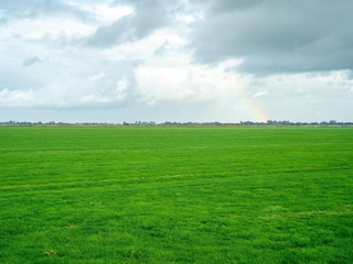 Vakantiehuis Heeg Omgeving 37