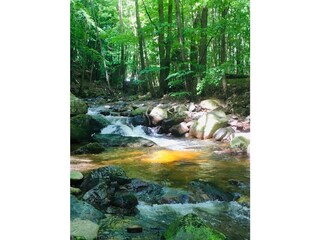 Villa Ilsenburg Environnement 17