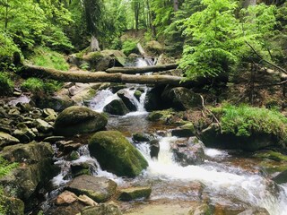 Villa Ilsenburg Environnement 20