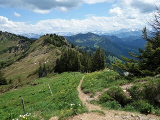 Bergweg zum Heidenkopf