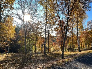 Vakantiehuis Nissafors  6