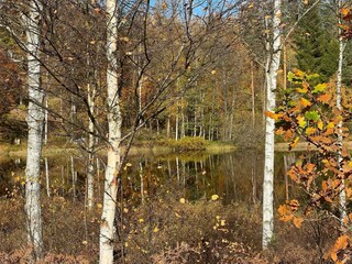 Holiday house Nissafors  27