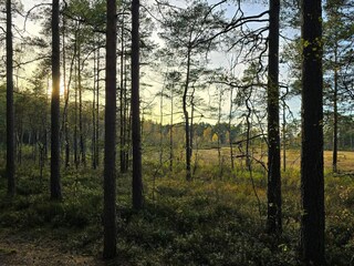 Ferienhaus Nissafors  28