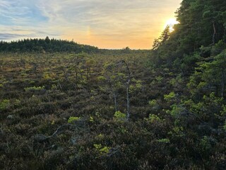 Ferienhaus Nissafors  29