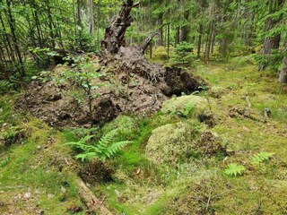 Vakantiehuis Nissafors  35