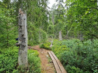 Ferienhaus Nissafors  30