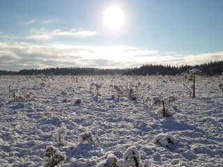 Vakantiehuis Nissafors  18