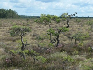 Vakantiehuis Nissafors  31