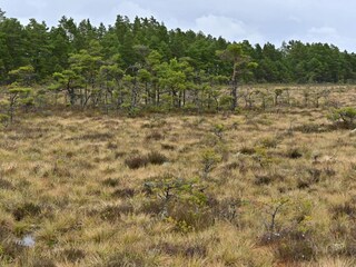 Ferienhaus Nissafors  19