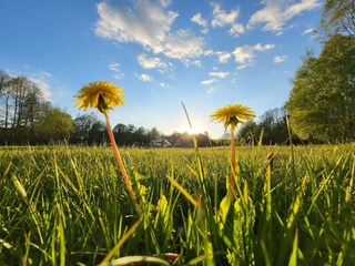 Ferienhaus Nissafors  32