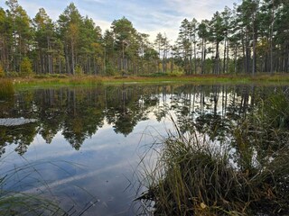 Holiday house Nissafors  11