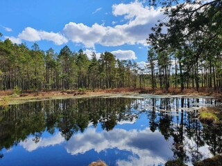 Vakantiehuis Nissafors  12