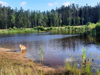 Holiday house Nissafors  33