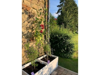 Appartement Büllingen Enregistrement extérieur 5