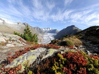 Chalet Fieschertal Omgeving 23