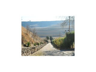 Type de propriété : Ferme Dueñas Environnement 35