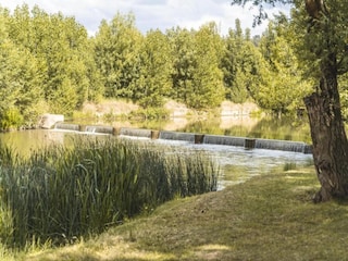 Type de propriété : Ferme Dueñas Environnement 36