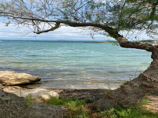 Vakantiehuis Bilice Omgeving 36