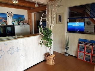 Appartamento Porto Rotondo Caratteristiche 6