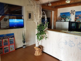 Appartamento Porto Rotondo Caratteristiche 7