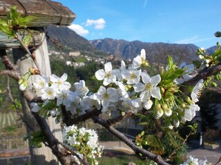 Appartamento per vacanze Kuens Registrazione all'aperto 6