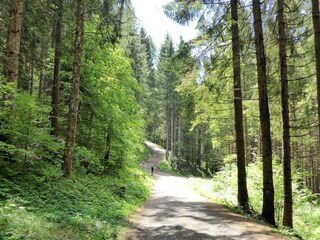 Ferienhaus Mel Umgebung 34