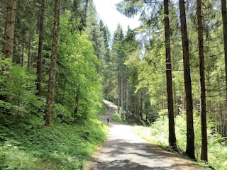 Ferienhaus Mel Umgebung 37