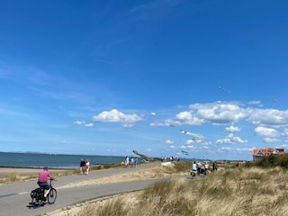 Parc de vacances Breskens Environnement 23