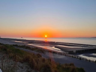 Vakantiepark Breskens Omgeving 13