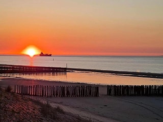 Parco vacanze Breskens Ambiente 29