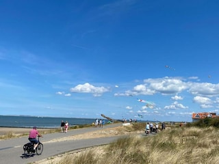 Holiday park Breskens Environment 29