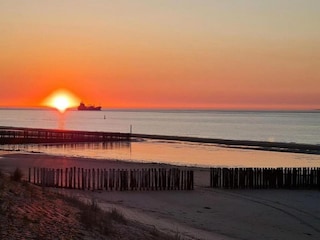 Holiday park Breskens Environment 13