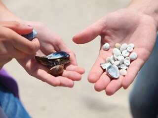 Parc de vacances Breskens  54