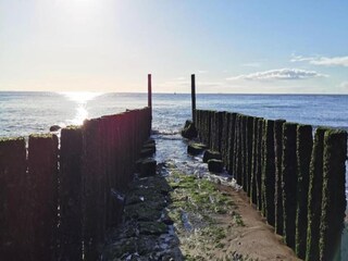 Vakantiepark Breskens Omgeving 16