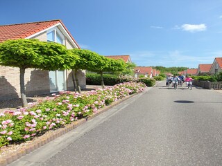 Parc de vacances Breskens Environnement 13