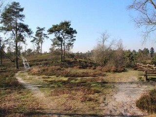 Ferienpark Geijsteren Umgebung 27