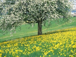 Ferienpark Geijsteren Umgebung 21